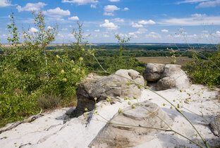 Камни донских степей
