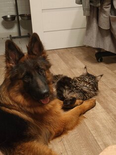 Лучшие моменты ❤️