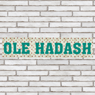 Репатриация в Израиль