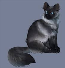 Факты и биография🍉💞✡️