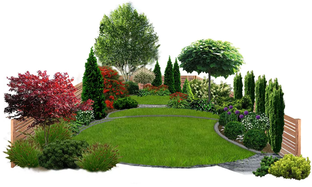 Планировка сада