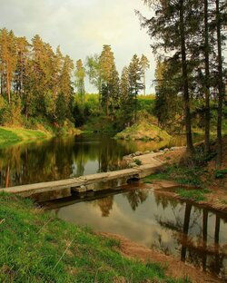 Московская область