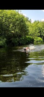 Открытая вода🏊