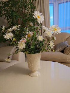 Закуски