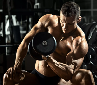 Упражнения и тренировки