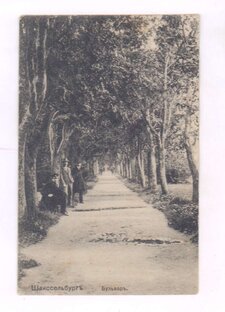 Шлиссельбургские знаменитости.