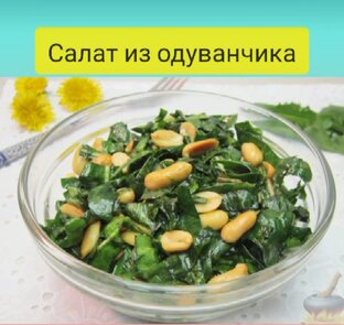 Летние салаты