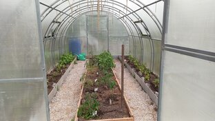 Экспериментальная теплица. Сезон 2023 г.