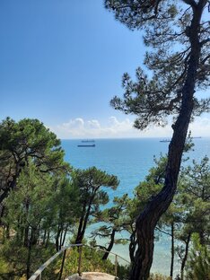 Черноморское побережье