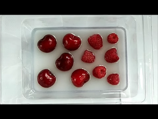 Мои молды