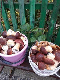 Заготовки