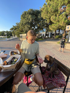 Ресторанный пес