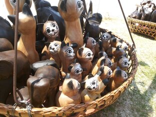 Жизнь тайских котиков