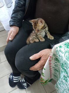 Начало 