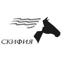 Книжная полка