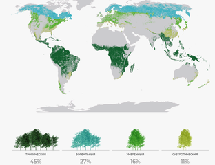 лесные ресурсы мира