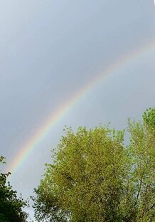 Невыдуманные истории