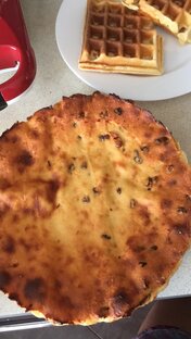 Выбираем собаку или щенка