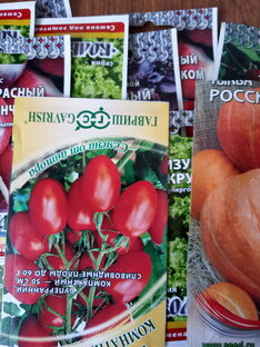 Мои семена и моя рассада.
