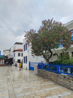 Бодрум (Турция)