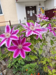 Видео о природе Кубани