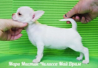 Статьи 