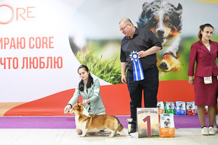 Выставки🏆🥇