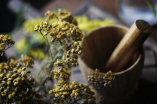 Удивительные растения в нашем лесу💚