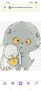 Котики