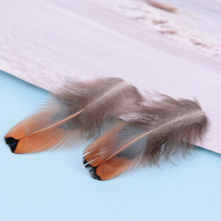 Великолепные рецензии бротюни.