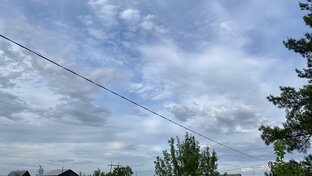 Загородная жизнь