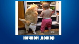 Весёлые видео-подборки