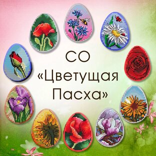 Очередной совместник