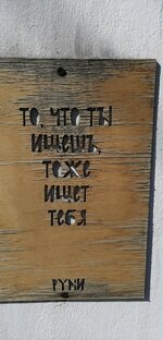 Статьи