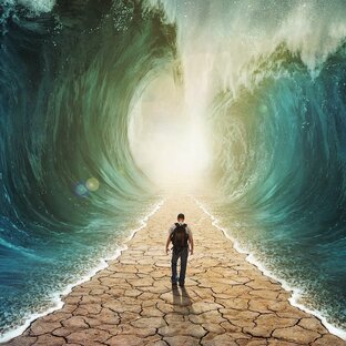 Плоды намерения