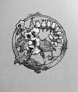 Рисую