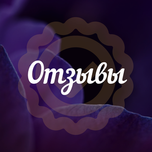 Отзывы