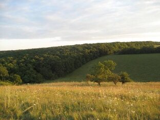Малая родина Красногвардейский район