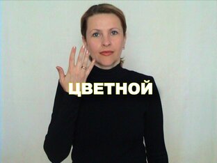 Словарь Ц