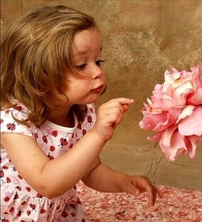 Интересные факты