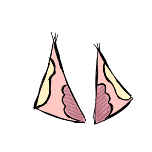 Не арты, но творчество 🌺✨👀