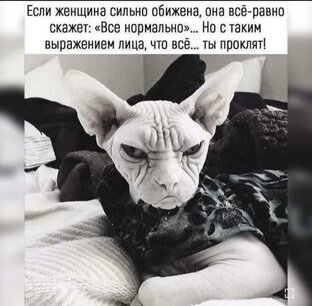 Эти забавные животные !