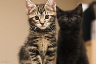 Чудеса случаются. 