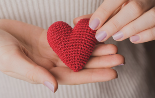 Мои любимчики