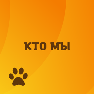 Знакомство с приютом