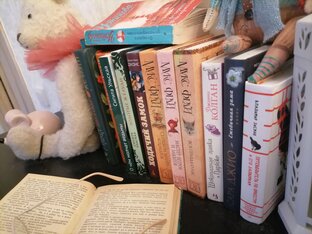 Моя Книжная полка