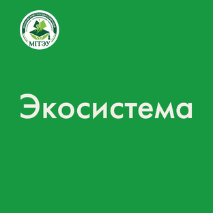 Экосистема МГГЭУ 