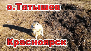 Красноярский край