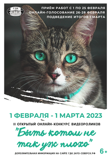 Онлайн-конкурс «Быть котом не так уж плохо»