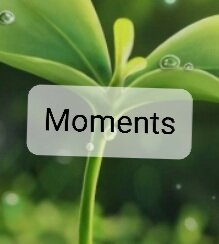 Moments